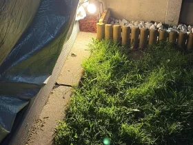 Whats App Image 2026 03 25 at 17 31 36 4